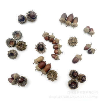 [hand stick small acorn] acorn dried flower hazelnut fruit fruit dried flower DIY material hooded acorn