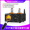 Bluetooth 5.0 Tube 200W Power Amplifier Fiber Optic Coaxial Computer USB U Disk Full Small Amplifier Vu Meter