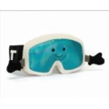 Ski goggles