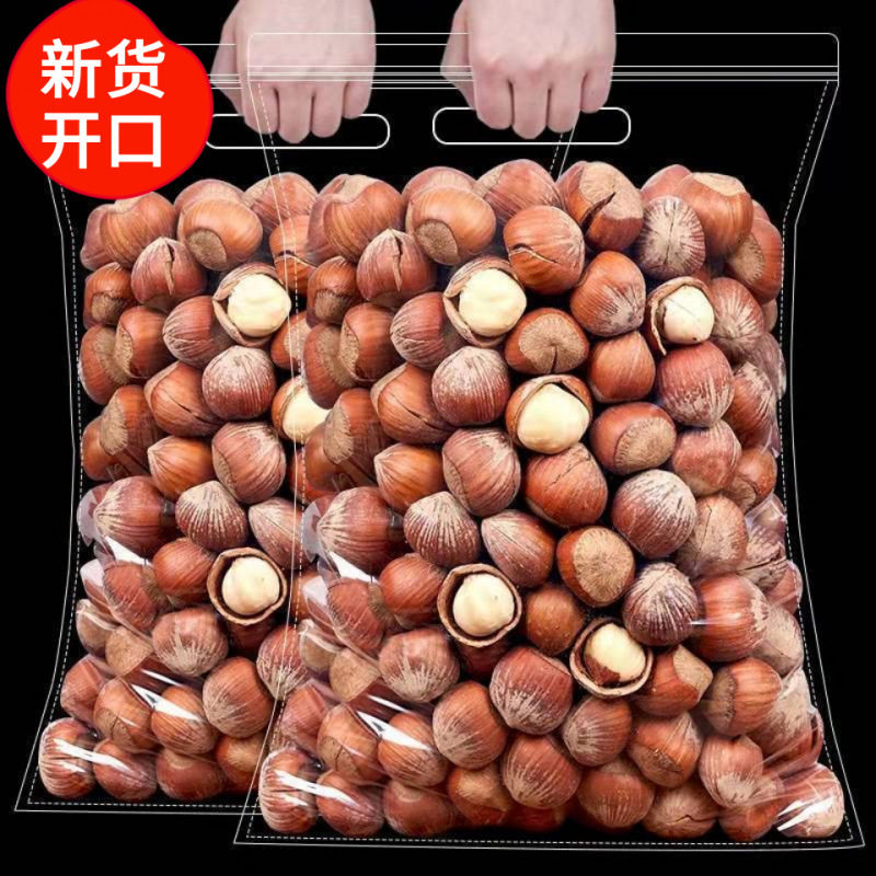 New Northeastern Large Hazelnuts Original Flavor Raw Fried Tieling Specialty Dried Fruit Snacks Fresh Thin-Skinned Nut Snacks Wholesale