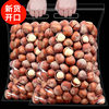 New Northeastern Large Hazelnuts Original Flavor Raw Fried Tieling Specialty Dried Fruit Snacks Fresh Thin-Skinned Nut Snacks Wholesale