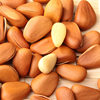 New open northeast pine nuts 500g canned nuts pine seeds Korean pine non-special extra large pregnant women snacks wholesale