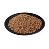 Shandong Paisen Wholesale Pet Dry Food Cat and Dog Baked Food Air-Dried Food Source Factory