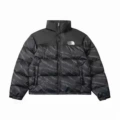 Black zebra