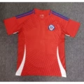 Chile's home ground