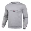 Light gray crew neck