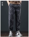 Csf-k169 regular gray