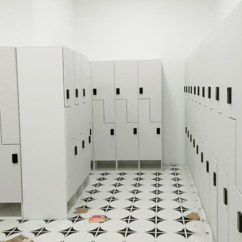 Locker Wholesale Gym Sauna Bath Center Yoga Studio Bathhouse Bath Pool Bathhouse Bathroom Cabinet Storage Cabinet