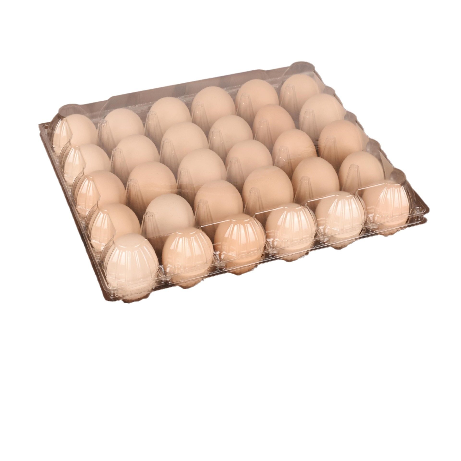 Disposable Plastic Egg Holder Transparent Earth Egg Duck Egg Packaging Box Thickened Shockproof Quail Pigeon Duck Goose Egg Box