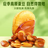 Herbal flavor orchid Bean (salt baked flavor) 100g box gauge 80 packaging leisure office crispy snacks greedy snacks