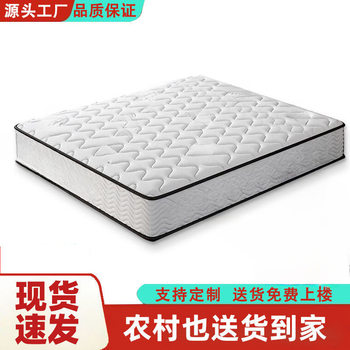 Latex Coconut Palm Rental House Mattress Family Soft and Hard Dual-Purpose Thickeneded 20cm Simmons Mattress Independent Spring Mattress