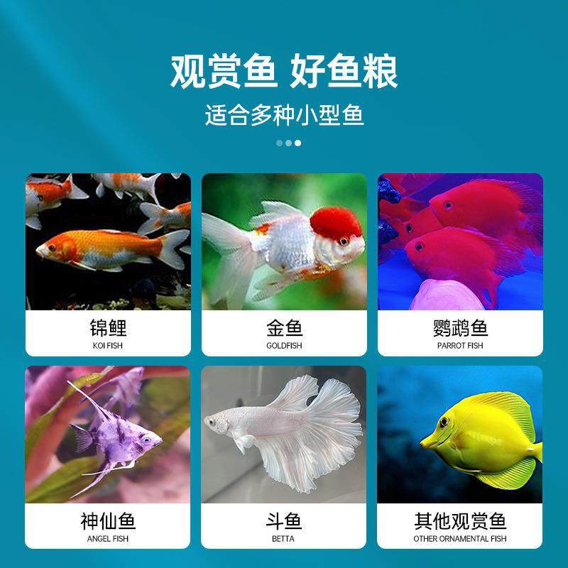 Color-added fish food General fish feed small particles small tropical fish anchovies guppy fish fighting fish lamp family Fairy Special