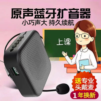 Bee Loudspeaker Teacher's Special Guide Waist Hanging High-power Selling Device Waist Wheat Stall Artifact Microphone