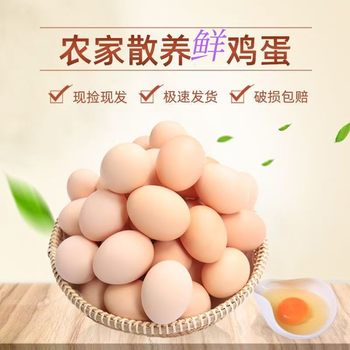(34G-44G/Piece) Fresh Eggs from Farm-Raised Free-Range Chickens in the Mountains and Forests, Fed with Cordyceps and Grains, 5-25 Pieces