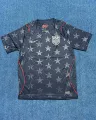 26 USA Home