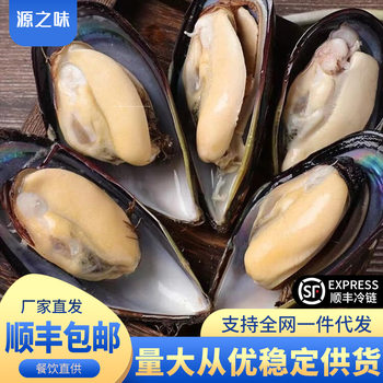 Fresh Extra Large Mussels Wholesale Catering Exclusive Fresh Caught Jade Mussels Fresh Sea Rainbow Whole Box Wholesale