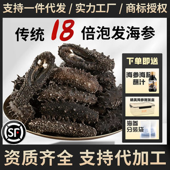 Dalian Sea Cucumber Lightly Dried Official Flagship Store Selected Wild Liaoning Cucumber Fresh Sea Cucumber Bottom Lightly Dried Sea Cucumber Dried Goods 500g