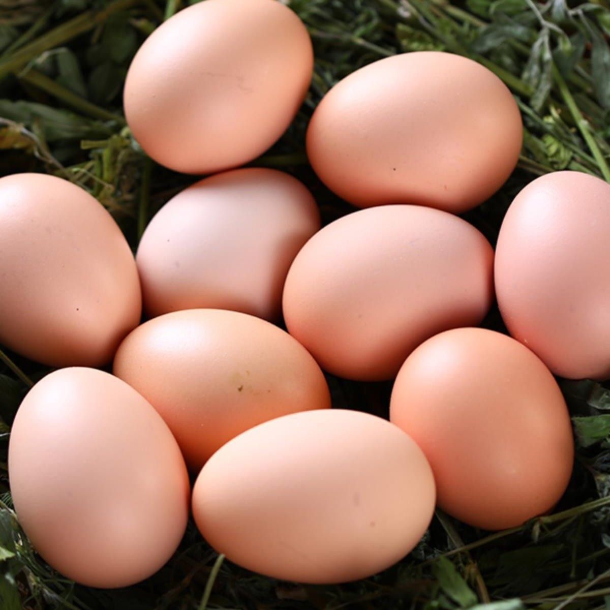 Wanweibao Newborn Eggs 40 Pieces * 40g Fresh Eggs Farm-Raised Free-Range Eggs 6 Pieces 20 Pieces
