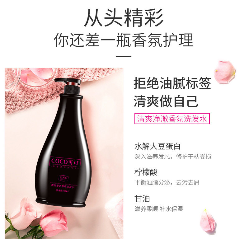 Coco Perfume Shampoo, Conditioner, Shower Gel Set, Anti-Dandruff, Anti-Itch, Oil-Control Shampoo, Authentic Fragrance