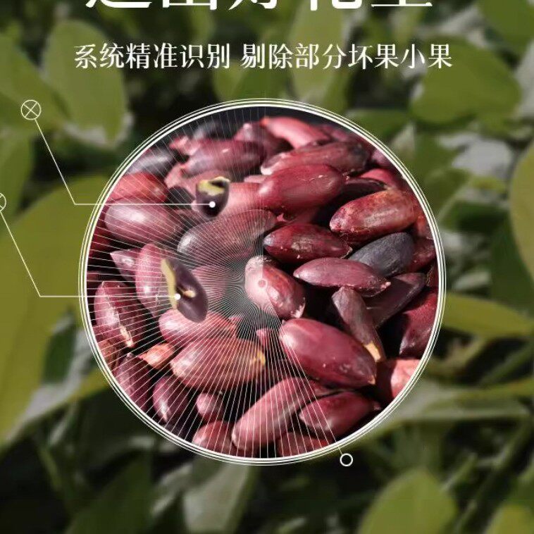 Chunwang Black Peanut Crispy Snacks, Snacks, Tea Snacks, Crispy Selenium-Rich Selection 52g 10 Cans 20 Cans