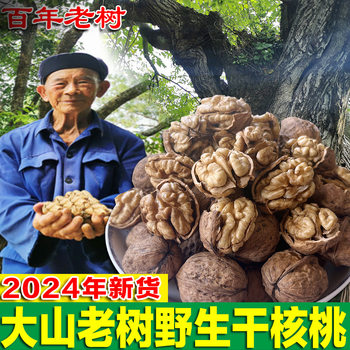 Laoshu Original Wild Walnut 2024 New Arrival Thin-Skinned Fresh Raw Walnut for Pregnant Women in Liangshan, Sichuan