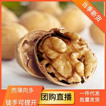 Whole Box of New Xinjiang Paper-Skinned Walnuts, Aksu Raw Walnuts, 185 Walnuts, Specialty Dried Fruit, Thin-Skinned Walnuts, Easy to Peel