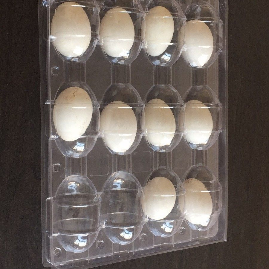 Plastic Goose Egg Tray, Transparent, 12 Large Goose Egg Trays, Disposable Walnut Tray Packaging, Double Yolk Duck Egg Box