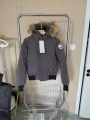 Little goose gray
