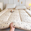 Class a Maternal and Infant-Grade Xinjiang Cotton Mattress Tatami Bed Pad Single/Double Bed Base Student Dormitory Warm Mattress