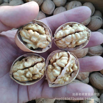Hand-Selected Large Paper-Skinned Walnuts, Aksu 185 Raw Walnuts, Primary Product, Original Flavor, No Additives, Selected Wholesale Price