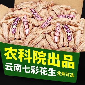 Yunnan Sun-dried Original Flavor Shell Raw and Ripe Color Milk Peanut Colorful Peanut Nuts Small Snacks Dried Native Products