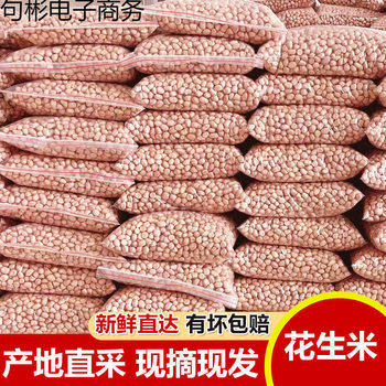 Peanuts Wholesale Seasonal New Arrivals 2.5kg Unshelled Peanuts for Oil Extraction Selected Large Kernels Farm-Grown Direct