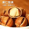Net Weight Northeast Wild Hazelnuts New Arrival Bagged Original Thin-Skinned Nut Snacks for Pregnant Women Wholesale Price Licheng Specialty Hazelnuts