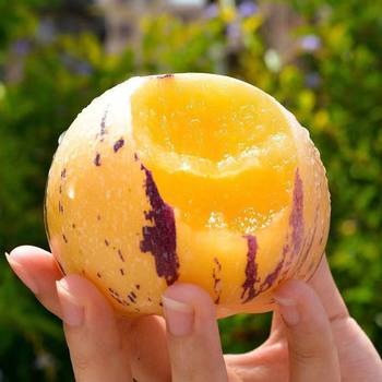 Yunnan Stone Forest Yellow Heart Round Fruit Ginseng Fruit Low Sugar Fruit for Pregnant Women Fresh Yellow Flesh Fresh Fruit One Piece Dropshipping