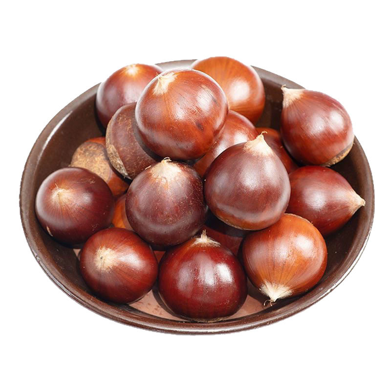 Authentic Jian'Ou High Mountain Chestnuts 2.5kg Whole Box Fresh Wild Chestnuts from Farmhouse, Raw Chestnuts Wholesale with Free Shipping and Delivery