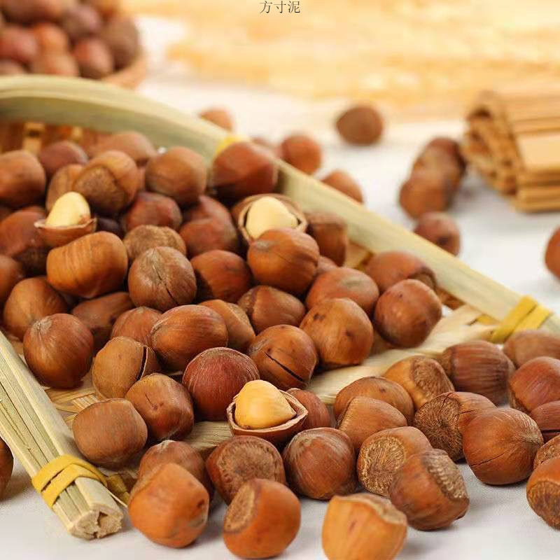 Net weight northeast small hazelnut Tieling specialty original 500g thin-skinned nut snacks factory source factory a wholesale