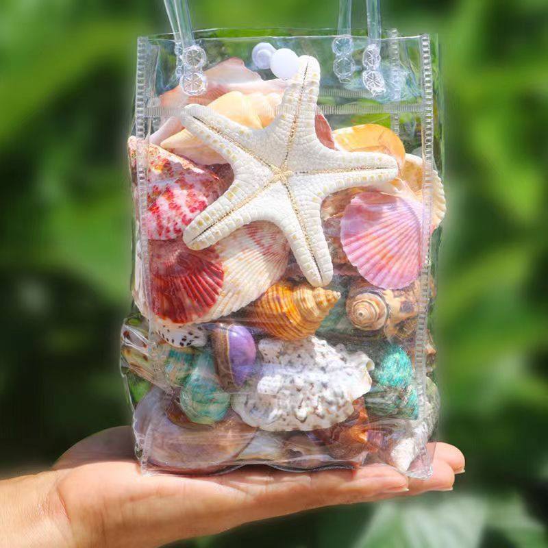 Natural Shells, Conches, Starfish, Fish Tank Landscaping Decorations, Science and Education Supplies, Kidsren's Toys, Birthday Gifts, Melting