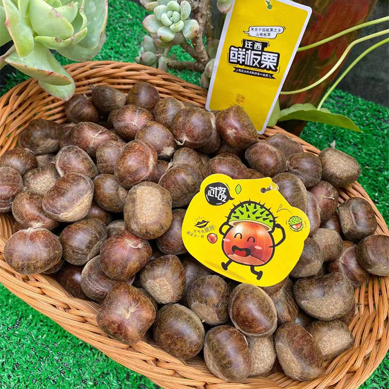 [Jd Express]Qianxi Chestnuts Raw Chestnuts Seasonal Fresh Chestnuts Soft, Glutinous, and Sweet Whole Box 2 Pounds 2kg Color Box