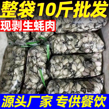 Fresh Oyster Meat, Freshly Peeled Oyster Meat, Oyster Meat, Oyster Meat, Seafood and Aquatic Products for Commercial Use