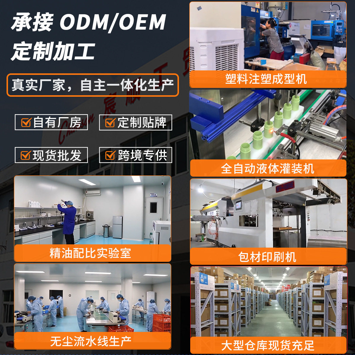 In-Stock Calming Collar for Dogs and Cats to Relieve Anxiety and Provide Comfort