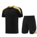 Nd05 black gold
