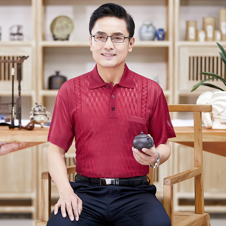 (Mới) Mã B8529 Giá 430K: Áo Thun Nam Toreck Áo Len Ngắn Tay Hàng Mùa Hè Trung Niên Thời Trang Nam Chất Liệu G01 Sản Phẩm Mới, (Miễn Phí Vận Chuyển Toàn Quốc).