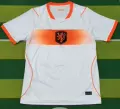 2627 Dutch L away games