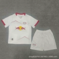 Leipzig home