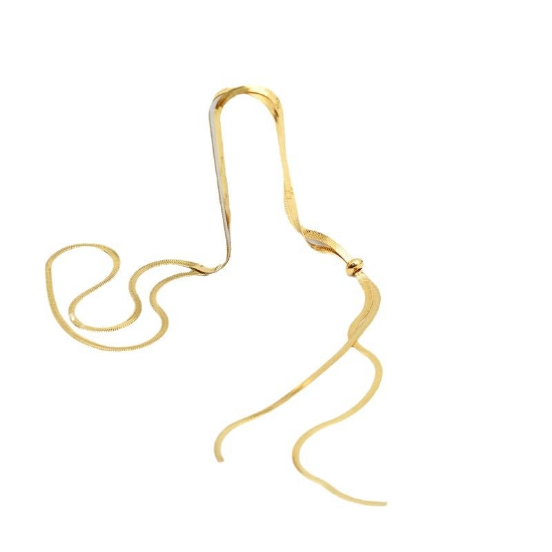 Titanium Steel Necklace Women's Accessible Luxury Versatile Extra Long Snake Bone Chain Pullable Niche Accessible Luxury Design Sweater Chain Women's High-End Sense