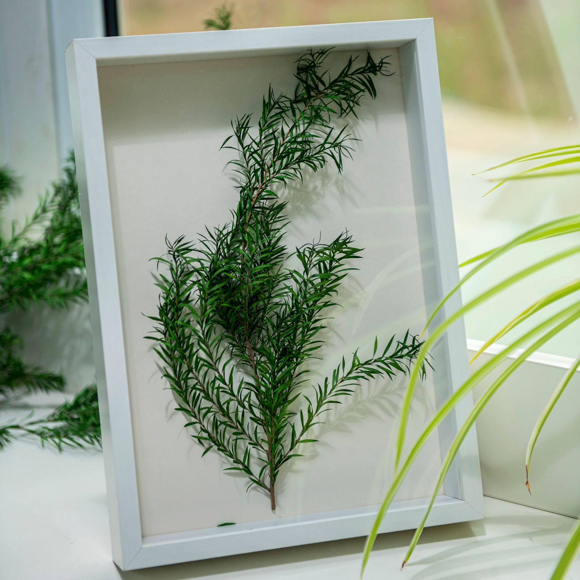 Hollow Photo Frame Dried Flower Frame Empty Frame Handmade Roses Eternal Flower Specimen 6 Inch 7 Inch 8inch 10inch A4A3