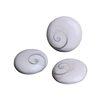 Wholesale natural sun shell stone round thread conch shell pendant small size hard shell fossil necklace