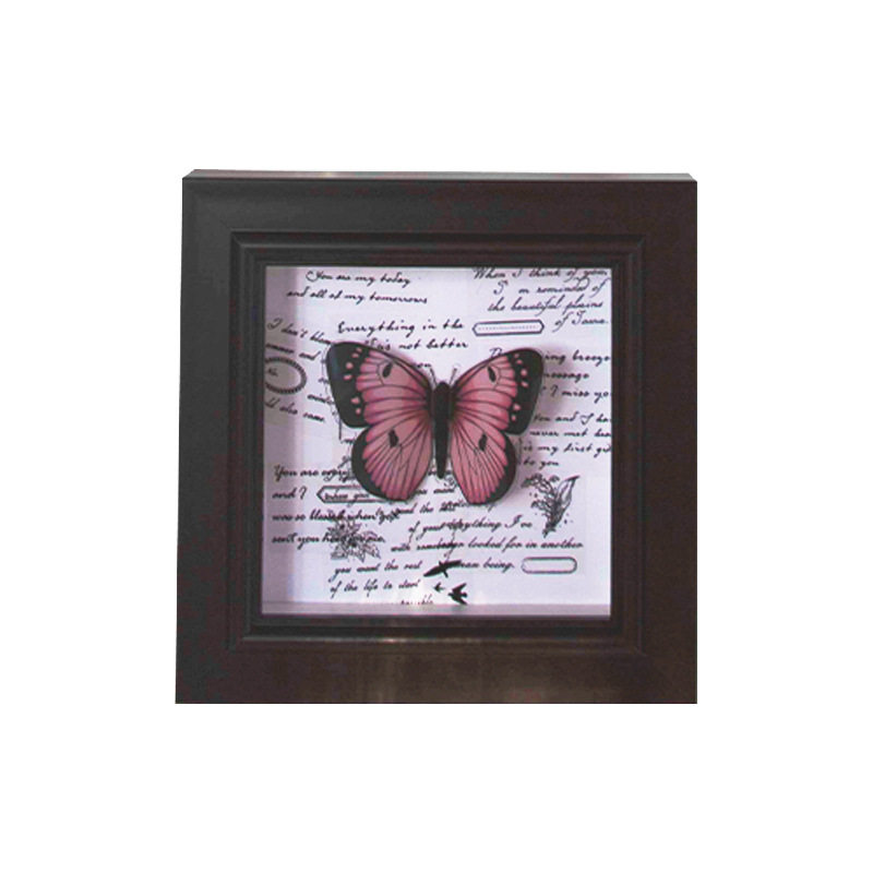 European and American Retro Glass Stereo Photo Frame Hollow Specimen Frame Butterfly DIY Mounted Display Frame 2cm Square Photo Frame