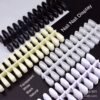 Nail Art Color Card Round Head Nail Piece Round Head White Black Transparent Color Card No. 3 Display Board Nail Piece 240 Pieces/Pack
