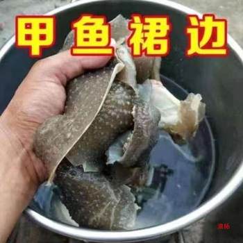 Fresh Turtle Skirt Bottom Meat Turtle Group Fish Turtle Skirt Meat Nourishing Soup Aquatic Products